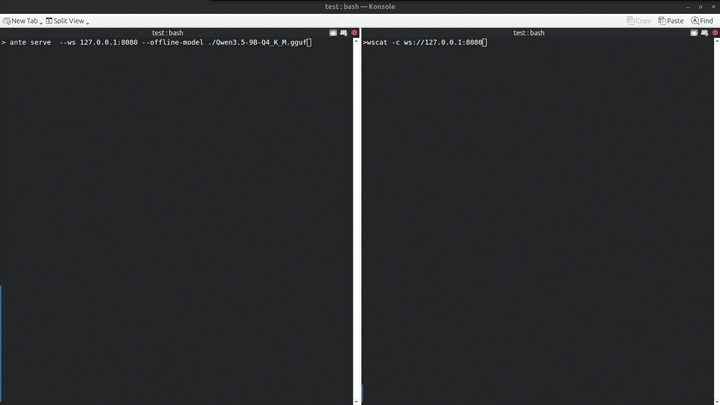 Serve mode with a shared offline model across WebSocket clients